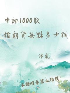 中证1000股指期货每点多少钱