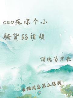 cao死你个小骚货的视频