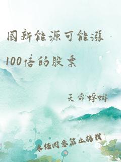 国新能源可能涨100倍的股票