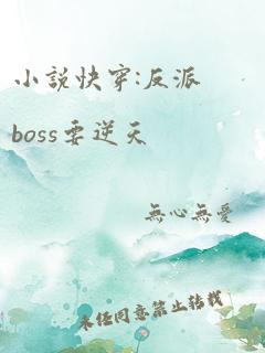 小说快穿:反派boss要逆天