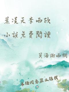 叶凌天李雨欣 小说免费阅读