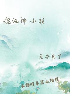 混沌神 小说