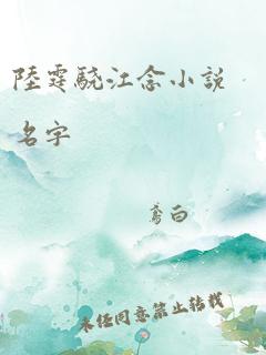 陆霆骁江念小说名字