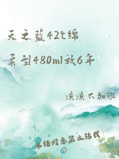 天之蓝42℃绵柔型480ml放6年