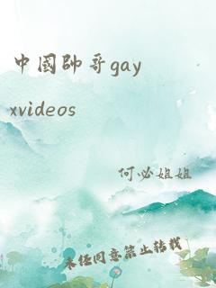 中国帅哥gayxvideos