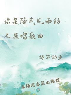 你是陪我风雨的人原唱歌曲