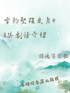 雪豹坚强岁月43集剧情介绍