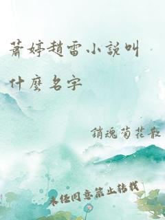 萧婷赵雷小说叫什么名字