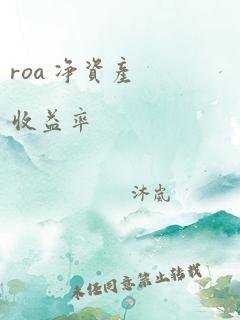 roa 净资产收益率