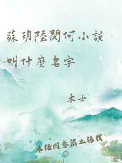 苏玥陆闵何小说叫什么名字