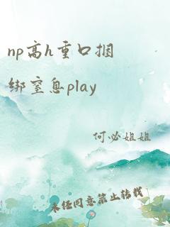 np高h重口捆绑窒息play