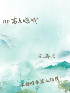 np高h嗯啊