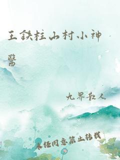 王铁柱山村小神医