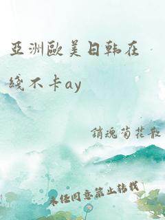 亚洲欧美日韩在线不卡ay