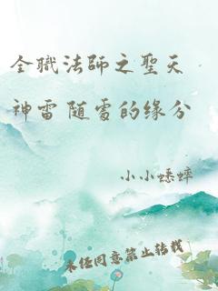 全职法师之圣天神雷 随处的缘分