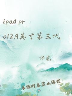 ipad pro12.9英寸第三代