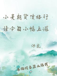 小麦期货价格行情今日小幅上涨