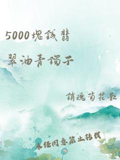 5000块钱翡翠油青镯子