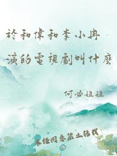 于和伟和李小冉演的电视剧叫什么名字