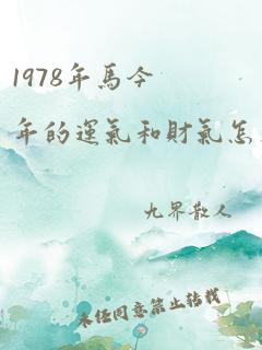 1978年马今年的运气和财气怎么样