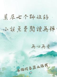 叶辰七个师姐的小说免费阅读无弹窗