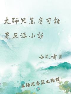 大师兄怎么可能是反派小说