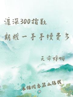 沪深300指数期权一手手续费多少钱