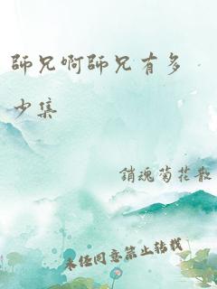 师兄啊师兄有多少集