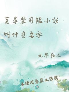 夏寻裴司韫小说叫什么名字