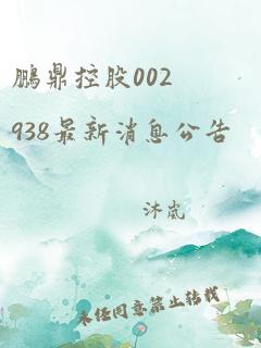 鹏鼎控股002938最新消息公告