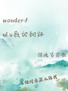 wonderful u歌词翻译