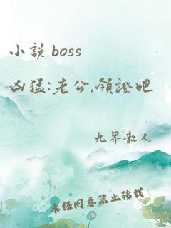 小说 boss凶猛:老公,领证吧