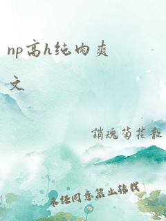 np高h纯肉爽文