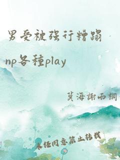 男受被强行糟蹋np各种play