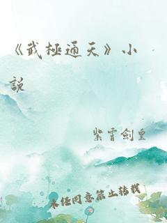 《武极通天》小说