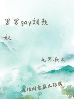 男男gay调教奴