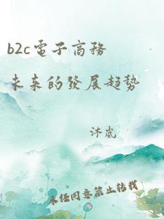 b2c电子商务未来的发展趋势