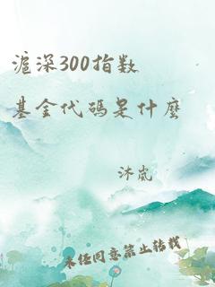 沪深300指数基金代码是什么