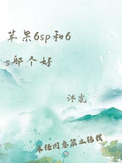 苹果6sp和6s哪个好