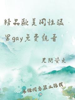 精品欧美同性猛男gay免费观看