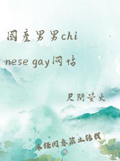 国产男男chinese gay网站