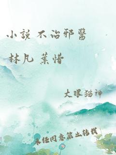 小说 不治邪医 林凡 叶惜