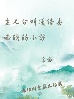 主人公叫凌皓秦雨欣的小说