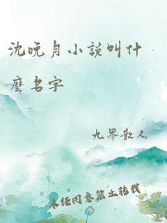 沈晚月小说叫什么名字