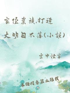 家侄崇祯,打造大明日不落(小说)