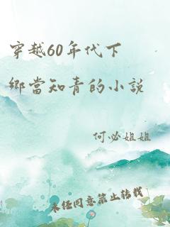 穿越60年代下乡当知青的小说