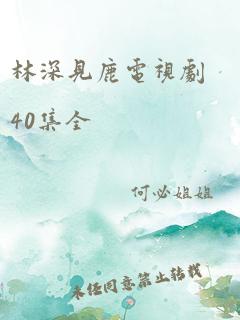 林深见鹿电视剧40集全