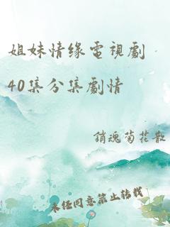 姐妹情缘电视剧40集分集剧情