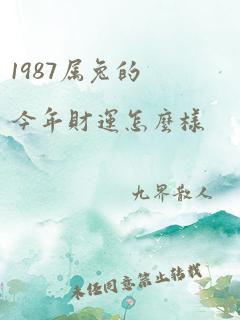 1987属兔的今年财运怎么样