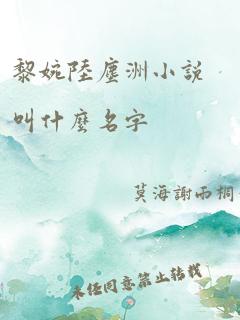 黎婉陆尘洲小说叫什么名字